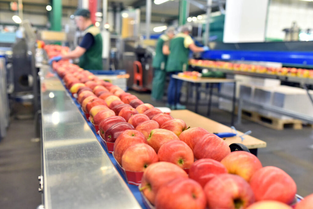 Découvrez Ouifield : La centrale de référencement dédiée aux entreprises agricoles et agroalimentaires